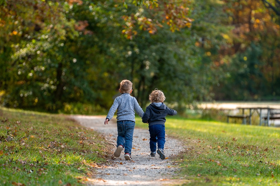 Boys, Children, Path, Trail, Park, Brothers, Trees